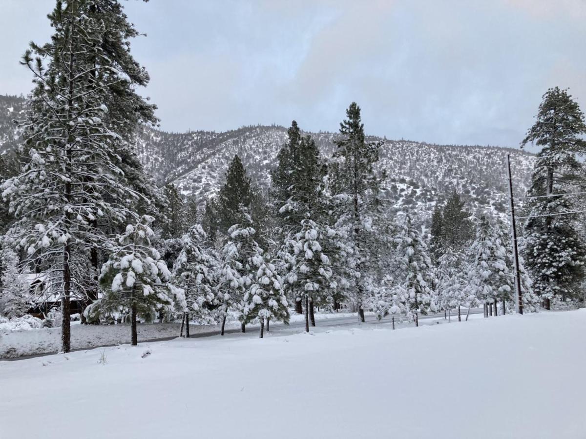 The Old Bear Bnb Pine Mountain Club Exterior foto