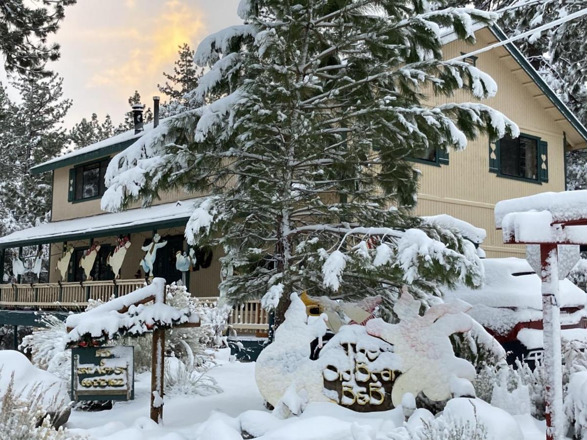 The Old Bear Bnb Pine Mountain Club Exterior foto